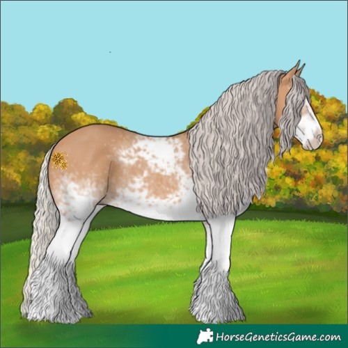 Horse Color:White Spotted Silver Bay Dun Frame 