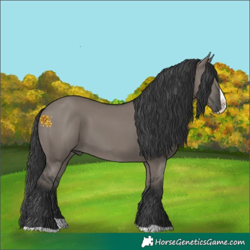 Horse Color:Grullo Splash Rabicano 