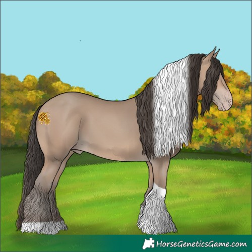 Horse Color:Sable Champagne Tobiano