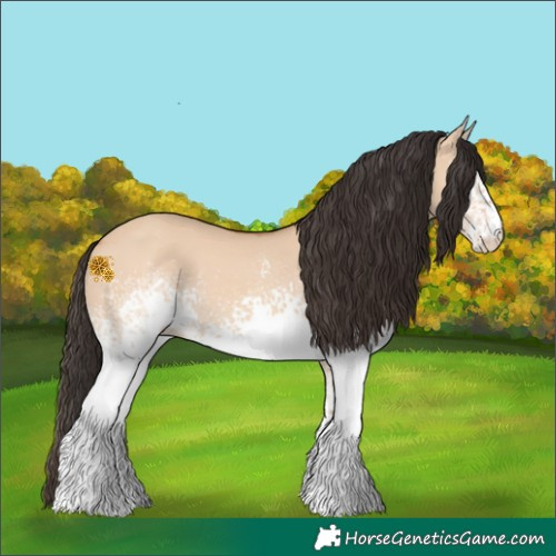 Horse Color:White Spotted Bay Dun