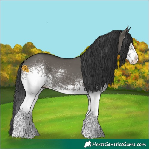 Horse Color:White Spotted Grullo Splash