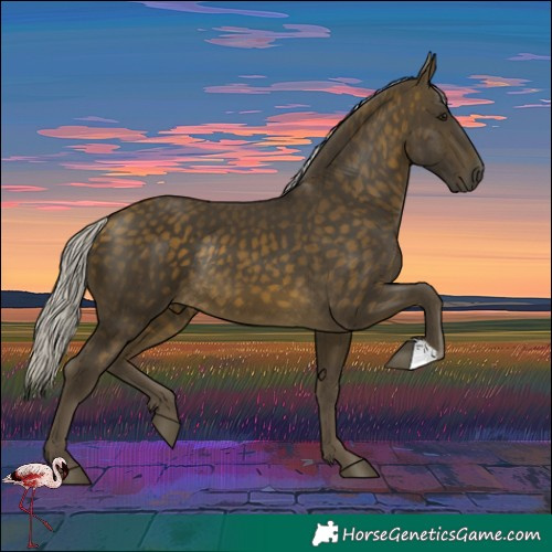 Horse Color:Silver Buckskin Rabicano