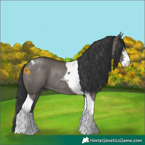 Horse Color:Grullo Sabino Tobiano Rabicano
