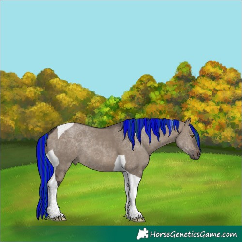 Horse Color:Painted Brown Dun Tobiano 