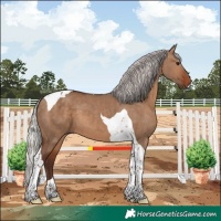 Horse Color:Silver Brown Dun Tobiano