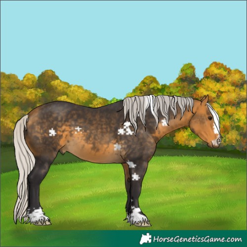 Horse Color:Silver Buckskin