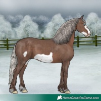 Horse Color:Silver Black Frame