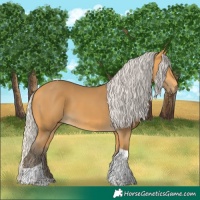 Horse Color:Silver Buckskin Tobiano 