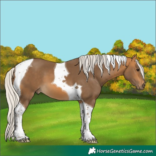 Horse Color:Silver Buckskin Tobiano