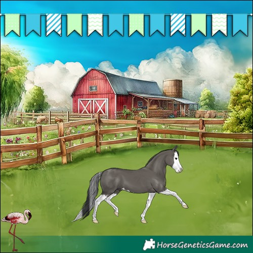 Horse Color:Grullo Splash