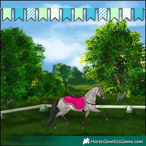 Horse Color:Brown Roan Dun