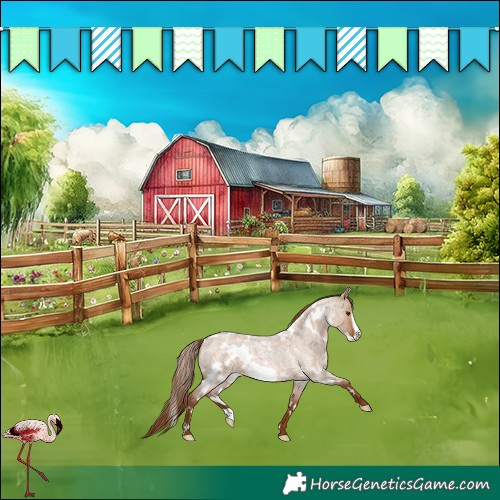 Horse Color:White Spotted Red Dun Roan Frame 