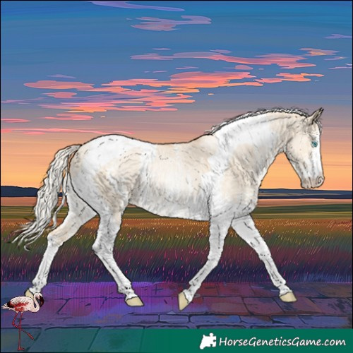 Horse Color:Silver Smoky Grullo Pearl Sabino Tobiano Rabicano