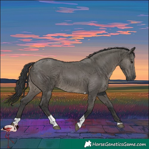 Horse Color:Grullo Tobiano 
