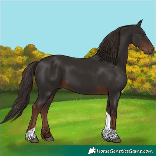 Horse Color:Liver Chestnut Tobiano 