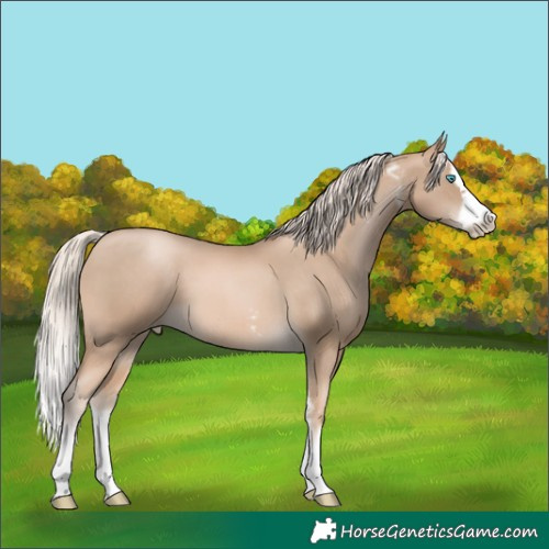 Horse Color:Chocolate Palomino Pearl Sabino Splash Frame
