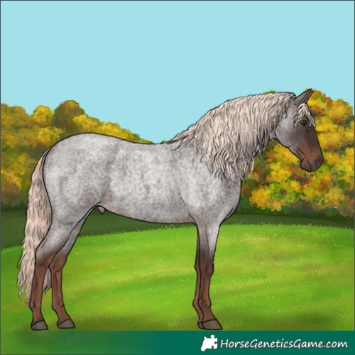 Horse Color:Liver Red Roan Mushroom 