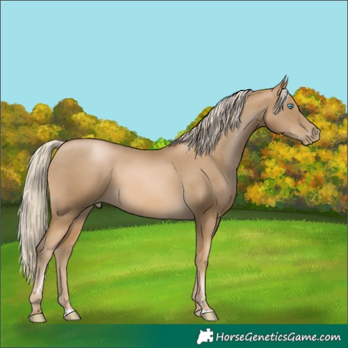 Horse Color:Chocolate Palomino Pearl Mushroom 