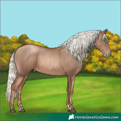 Horse Color:Liver Chestnut Pearl Mushroom