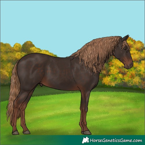 Horse Color:Liver Chestnut 