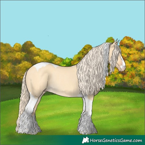 Horse Color:Gold Cream Champagne Dun Tobiano Rabicano