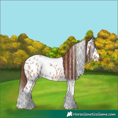 Horse Color:Red Dun Tobiano Leopard Rabicano 