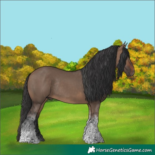 Horse Color:Brown Dun Tobiano Rabicano