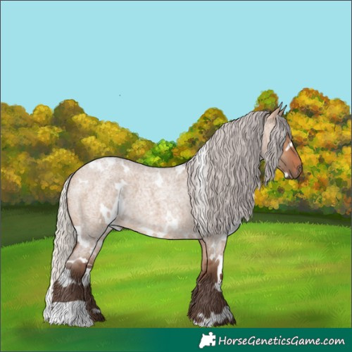 Horse Color:White Spotted Silver Brown Roan Dun