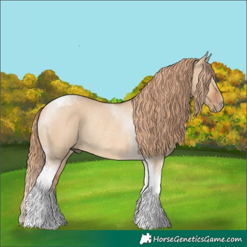 Horse Color:Red Dun Tobiano Rabicano 