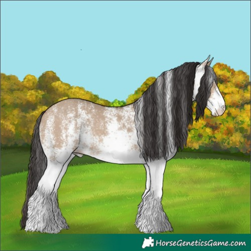 Horse Color:White Spotted Brown Dun Rabicano 