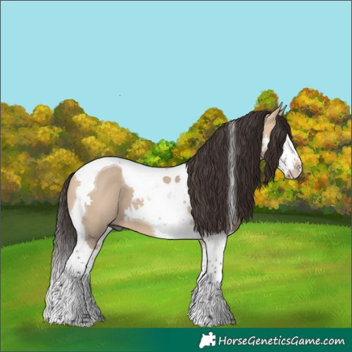 Horse Color:Bay Dun Splash Tobiano 