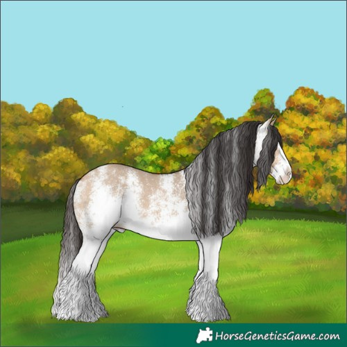 Horse Color:White Spotted Bay Dun Splash Rabicano