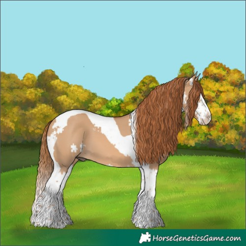 Horse Color:Red Dun Splash Tobiano 