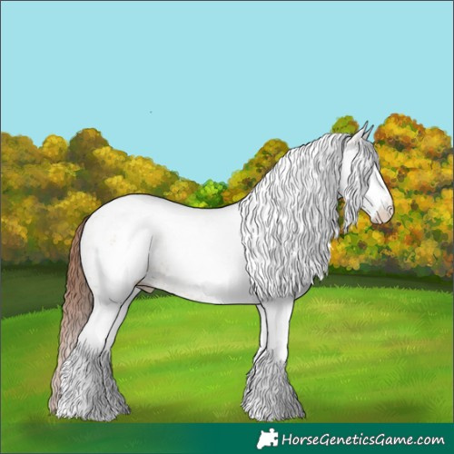 Horse Color:White Spotted Red Dun Tobiano Rabicano 