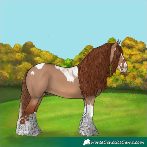 Horse Color:Red Dun Splash Tobiano 
