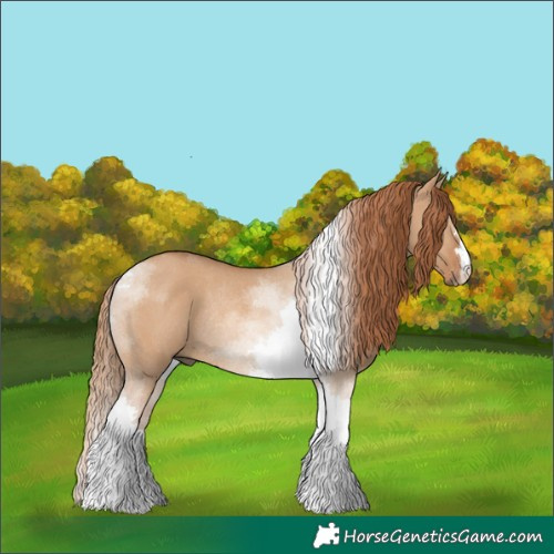 Horse Color:Red Dun Tobiano Rabicano 