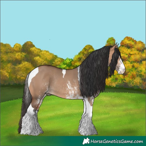 Horse Color:White Spotted Bay Dun Tobiano Rabicano 