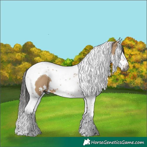 Horse Color:Gray Bay Dun Splash Tobiano
