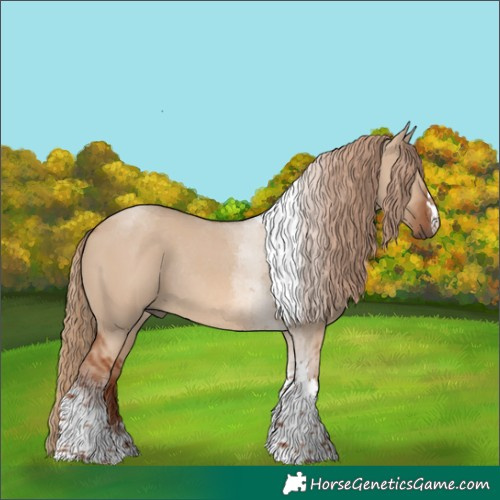 Horse Color:Red Dun Tobiano Rabicano