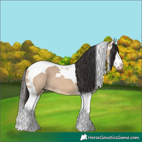 Horse Color:Bay Dun Splash Tobiano 
