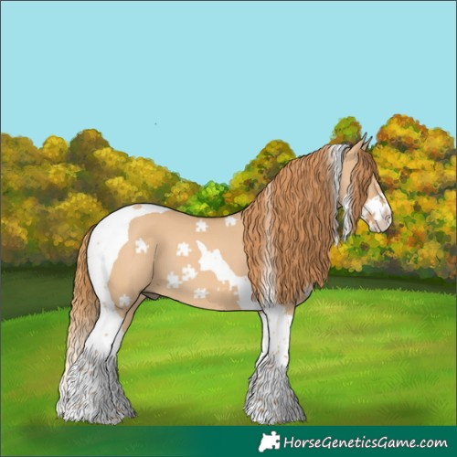Horse Color:Red Dun Splash Tobiano 