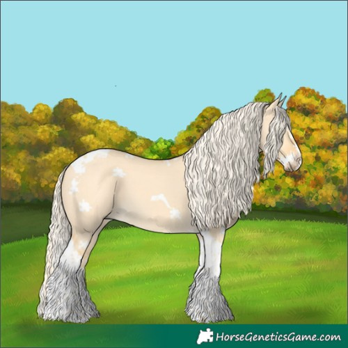 Horse Color:Palomino Dun Splash Tobiano