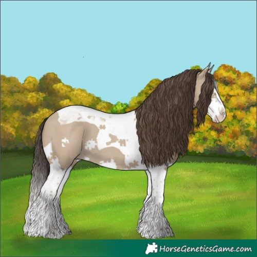 Horse Color:Classic Champagne Dun Splash Tobiano