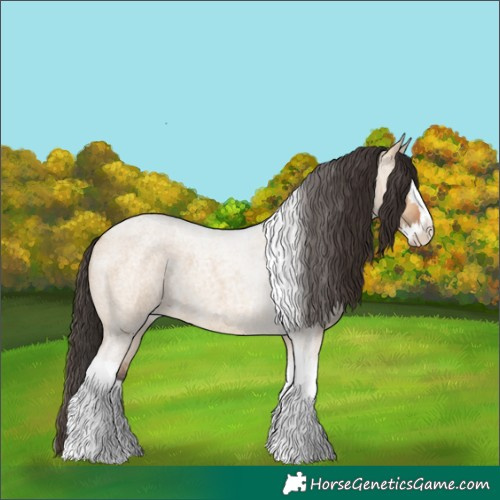 Horse Color:Bay Roan Dun Splash Tobiano Rabicano 