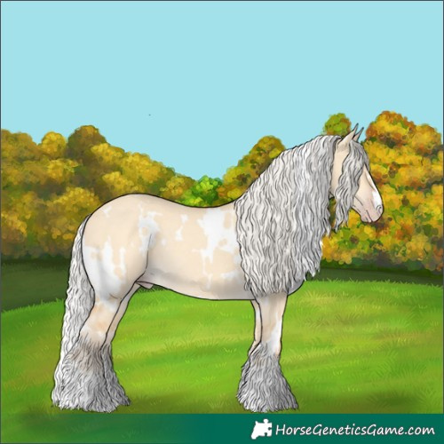 Horse Color:White Spotted Silver Amber Cream Champagne Dun Rabicano