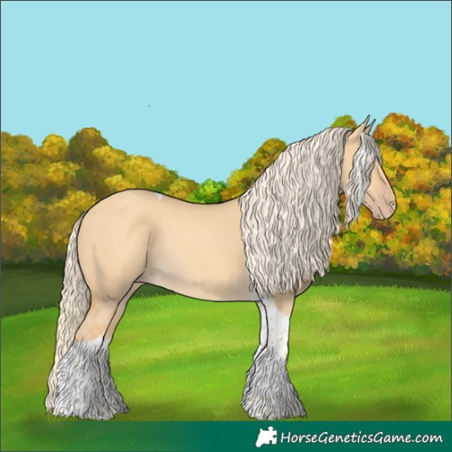 Horse Color:Gold Cream Champagne Dun Tobiano Rabicano 