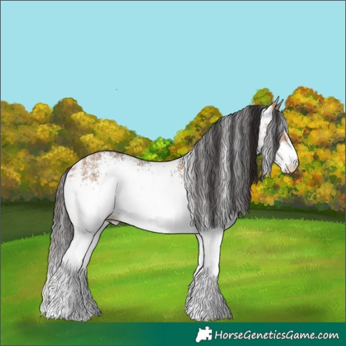 Horse Color:White Spotted Bay Dun