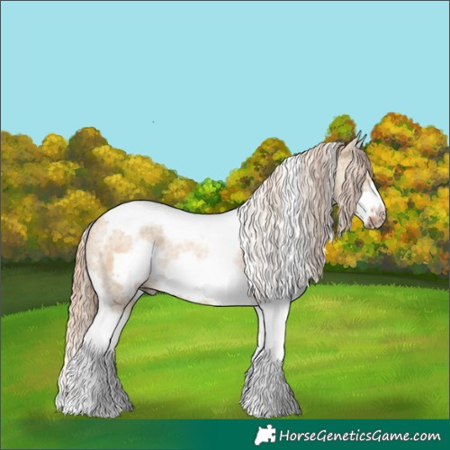 Horse Color:Red Dun Splash Tobiano Frame Rabicano