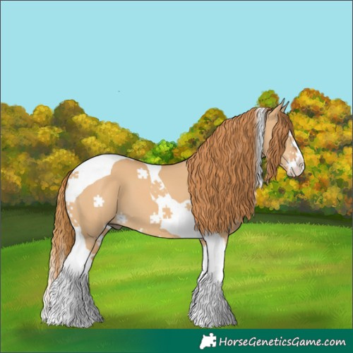 Horse Color:Red Dun Splash Tobiano 
