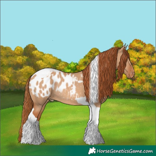 Horse Color:Red Dun Tobiano Blanket Rabicano